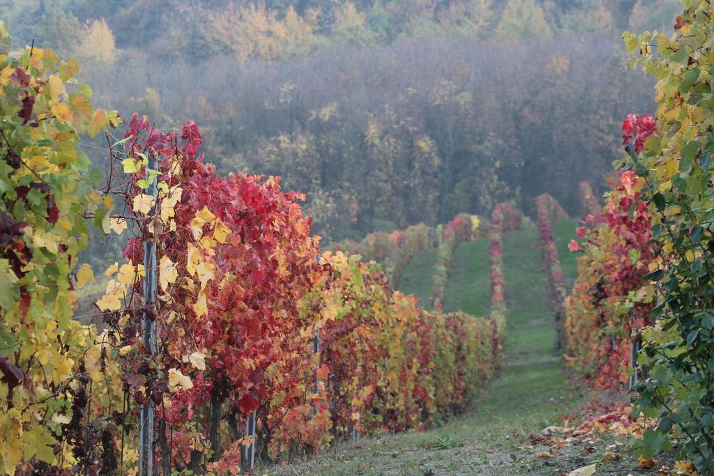 La Terrazza Sul Monferrato Apartamento Ozzano Monferrato Exterior foto