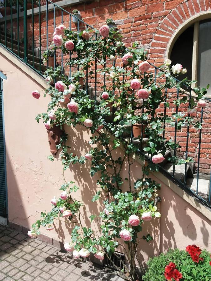 La Terrazza Sul Monferrato Apartamento Ozzano Monferrato Exterior foto